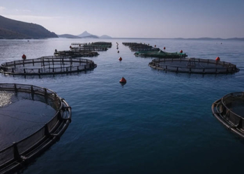 ΣΤΗΡΙΞΗ ΤΗΣ ΑΛΙΕΙΑΣ ΚΑΙ ΤΗΣ ΥΔΑΤΟΚΑΛΛΙΕΡΓΕΙΑΣ ΛOΓΩ ΤΗΣ ΕΞΑΠΛΩΣΗΣ ΤΟΥ COVID-19