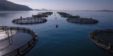 ΣΤΗΡΙΞΗ ΤΗΣ ΑΛΙΕΙΑΣ ΚΑΙ ΤΗΣ ΥΔΑΤΟΚΑΛΛΙΕΡΓΕΙΑΣ ΛOΓΩ ΤΗΣ ΕΞΑΠΛΩΣΗΣ ΤΟΥ COVID-19