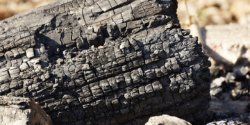 Πραγματοποιήθηκε η υλοτομία των καμένων δένδρων της επαρχιακής οδού Ρέθυμνο – Αγ. Γαλήνη από Ομάδα Εθελοντών