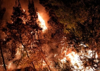Μάνη: Σε πύρινο κλοιό η περιοχή, ολονύκτια αναμένεται η μάχη με τις φλόγες