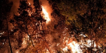 Μάνη: Σε πύρινο κλοιό η περιοχή, ολονύκτια αναμένεται η μάχη με τις φλόγες