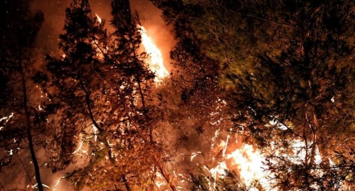 Μάνη: Σε πύρινο κλοιό η περιοχή, ολονύκτια αναμένεται η μάχη με τις φλόγες
