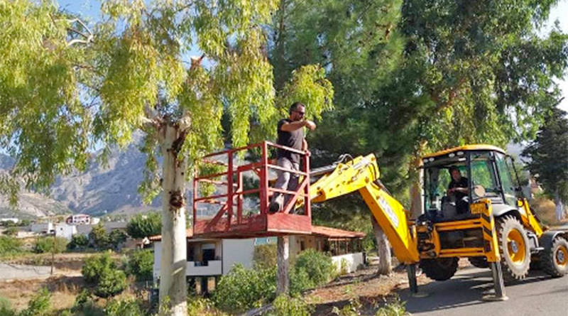 Εργασίες Καλλωπισμού στον Δήμου Φαιστού