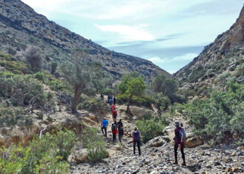 Ορειβατικός Σύλλογος Ηρακλείου