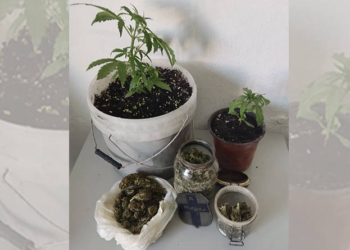 Σύλληψη για τα ναρκωτικά σε περιοχή της Γόρτυνας