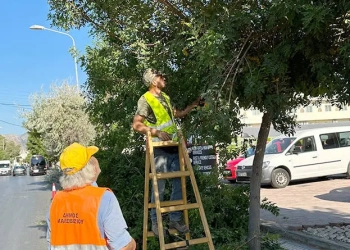 Δράσεις Συντήρησης Πρασίνου στην Αμμουδάρα