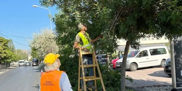Δράσεις Συντήρησης Πρασίνου στην Αμμουδάρα