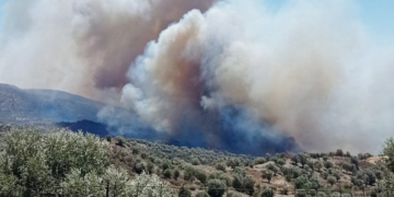 πυρκαγιές Αμαρίου