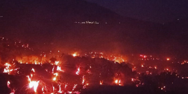 Αίτημα για Κήρυξη των Πυρόπληκτων Περιοχών σε Κατάσταση Έκτακτης Ανάγκης
