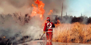 Σαμαρείτες του Τμήματος Μοιρών