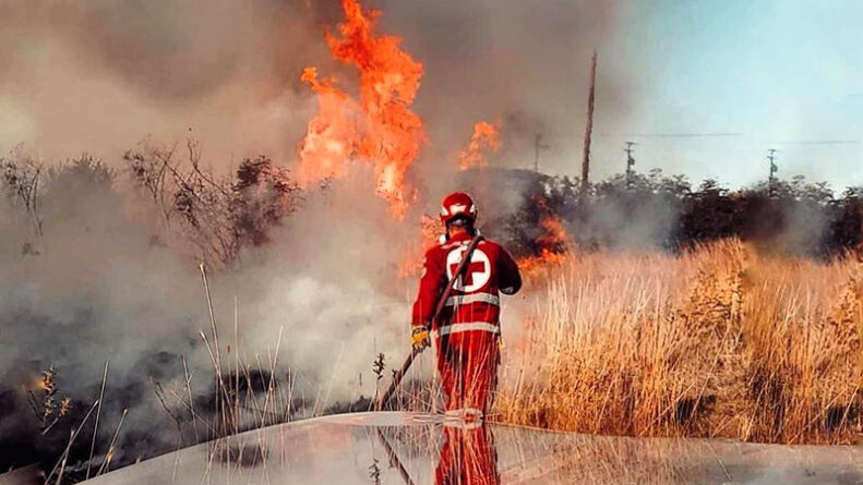 Σαμαρείτες του Τμήματος Μοιρών