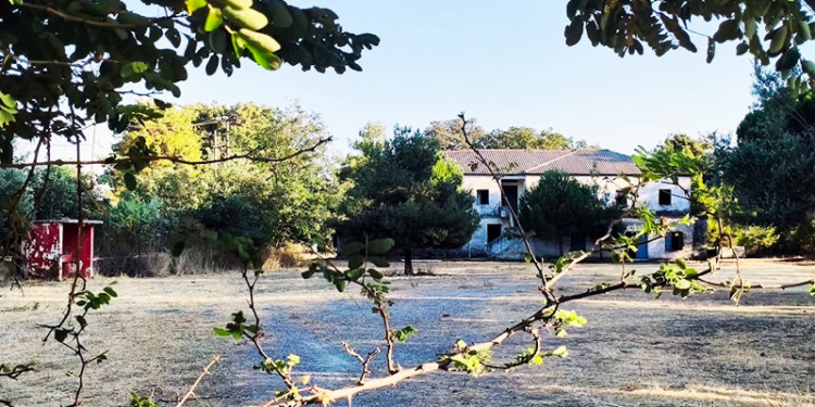 Στρατόπέδο Ζωγραφάκη – Πλευράκη στο Καστέλλι