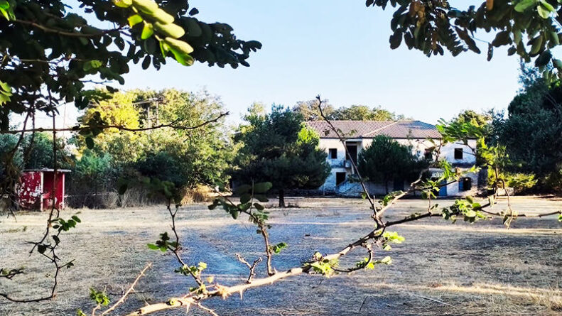 Στρατόπέδο Ζωγραφάκη – Πλευράκη στο Καστέλλι