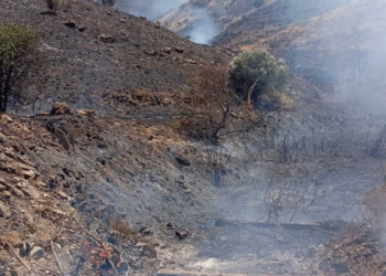 Καμένη έκταση μετά από μεγάλη πυρκαγιά.
