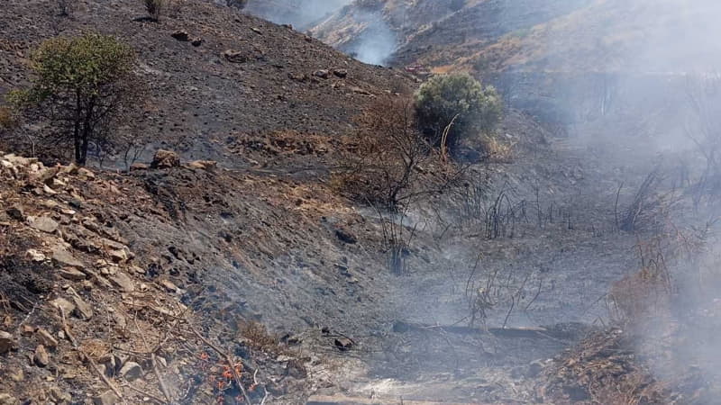Καμένη έκταση μετά από μεγάλη πυρκαγιά.