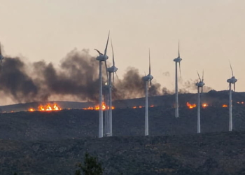 Πυρκαγιά σε αγροτοδασική έκταση στην Αχλαδιά Σητείας