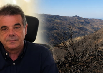 Άγιος Βασίλειος: Η επόμενη ημέρα μετά τη μεγάλη πυρκαγιά