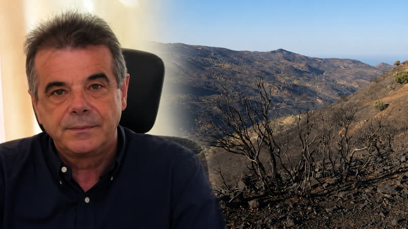 Άγιος Βασίλειος: Η επόμενη ημέρα μετά τη μεγάλη πυρκαγιά