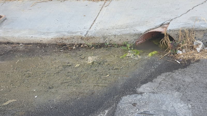 Αγωγός και λιμνάζοντα νερά κοντά στο 1ο Δημοτικό Σχολείο Μοιρών