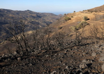 Καμένες εκτάσεις από τη μεγάλη πυρκαγιά στον Δήμο Αγίου Βασιλείου Ρεθύμνου όπου ξεκίνησαν οι αιτήσεις αποζημίωσης.