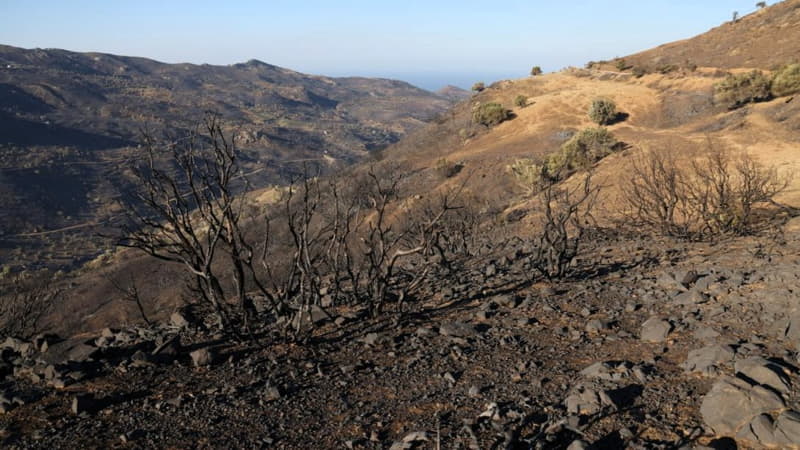 Καμένες εκτάσεις από τη μεγάλη πυρκαγιά στον Δήμο Αγίου Βασιλείου Ρεθύμνου όπου ξεκίνησαν οι αιτήσεις αποζημίωσης.