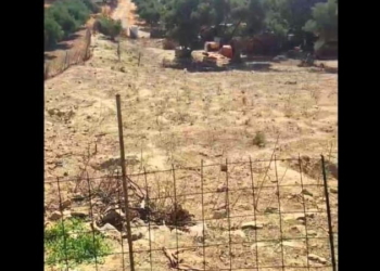 Κτηνοτροφική εγκατάσταση στα Κάτω Μούλια όπου καταγγέλθηκε ζωοκλοπή