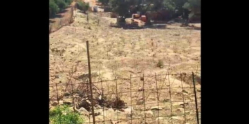Κτηνοτροφική εγκατάσταση στα Κάτω Μούλια όπου καταγγέλθηκε ζωοκλοπή
