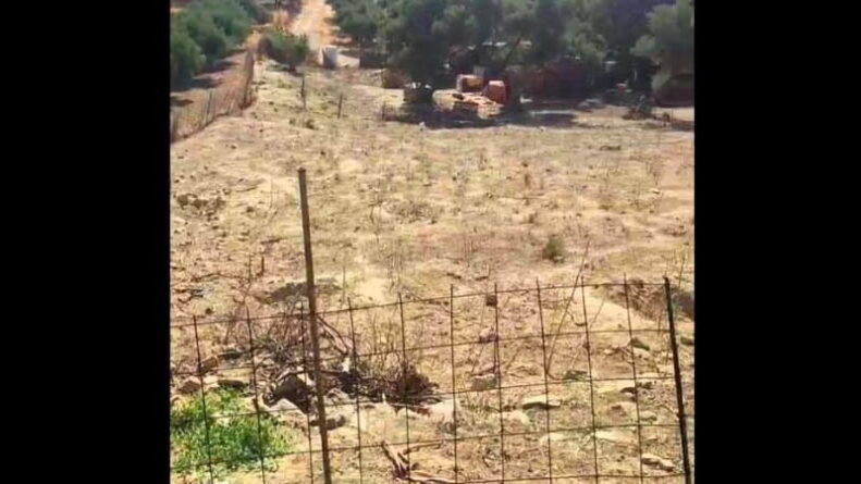 Κτηνοτροφική εγκατάσταση στα Κάτω Μούλια όπου καταγγέλθηκε ζωοκλοπή