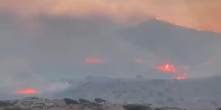 Φωτιά στην περιοχή Χώνος Σητείας κοντά στον οικισμό Καρύδι