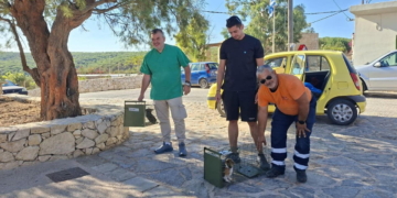 Κτηνιατρική δράση και στειρώσεις γατών στη Γαύδο